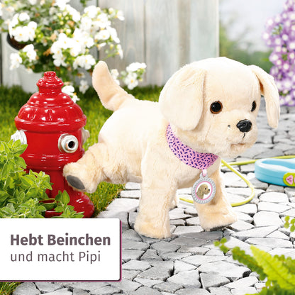 BABY born, dog, My Lucky Dog, BABY born dog with functions including collar, pendant, leash, bottle, and bone, 829417, Zapf Creation.