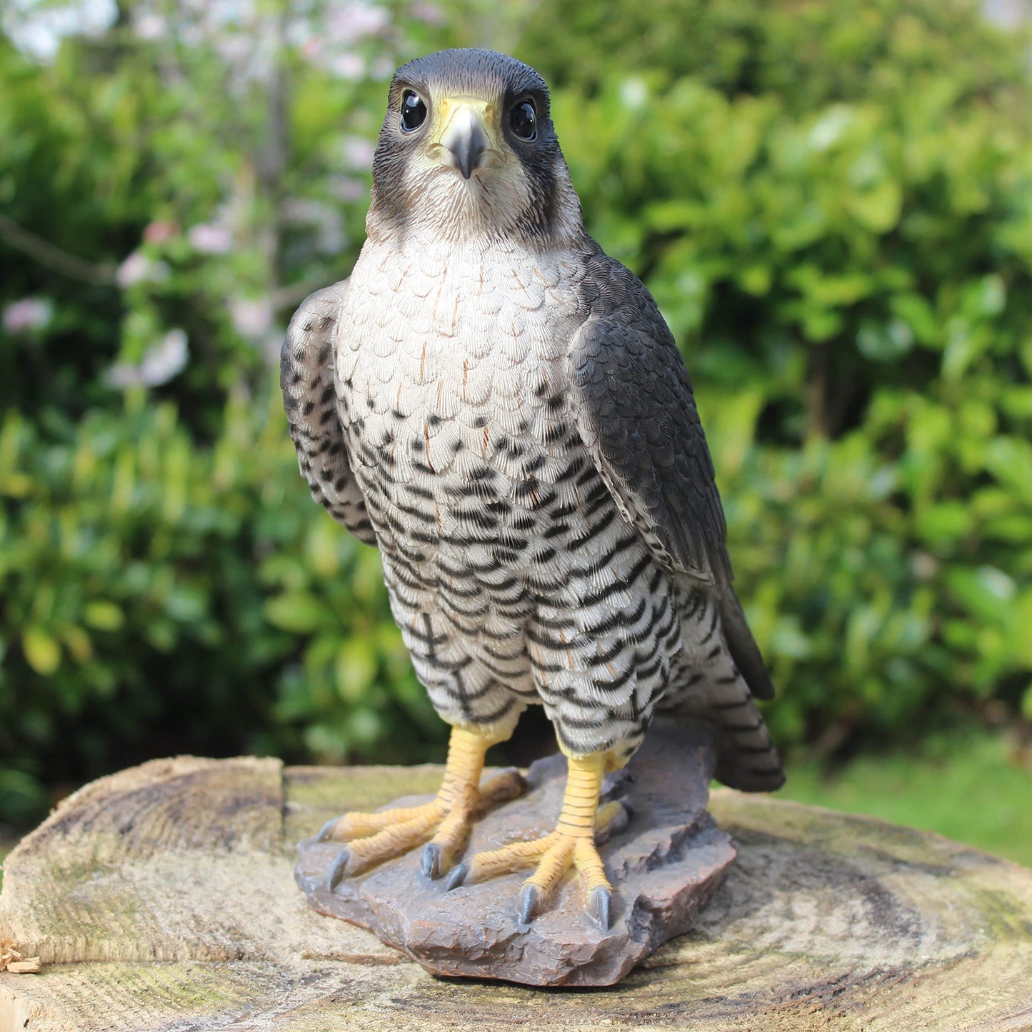Vivid Arts XRL-PFAL-B Peregrine Falcon, resin garden decoration