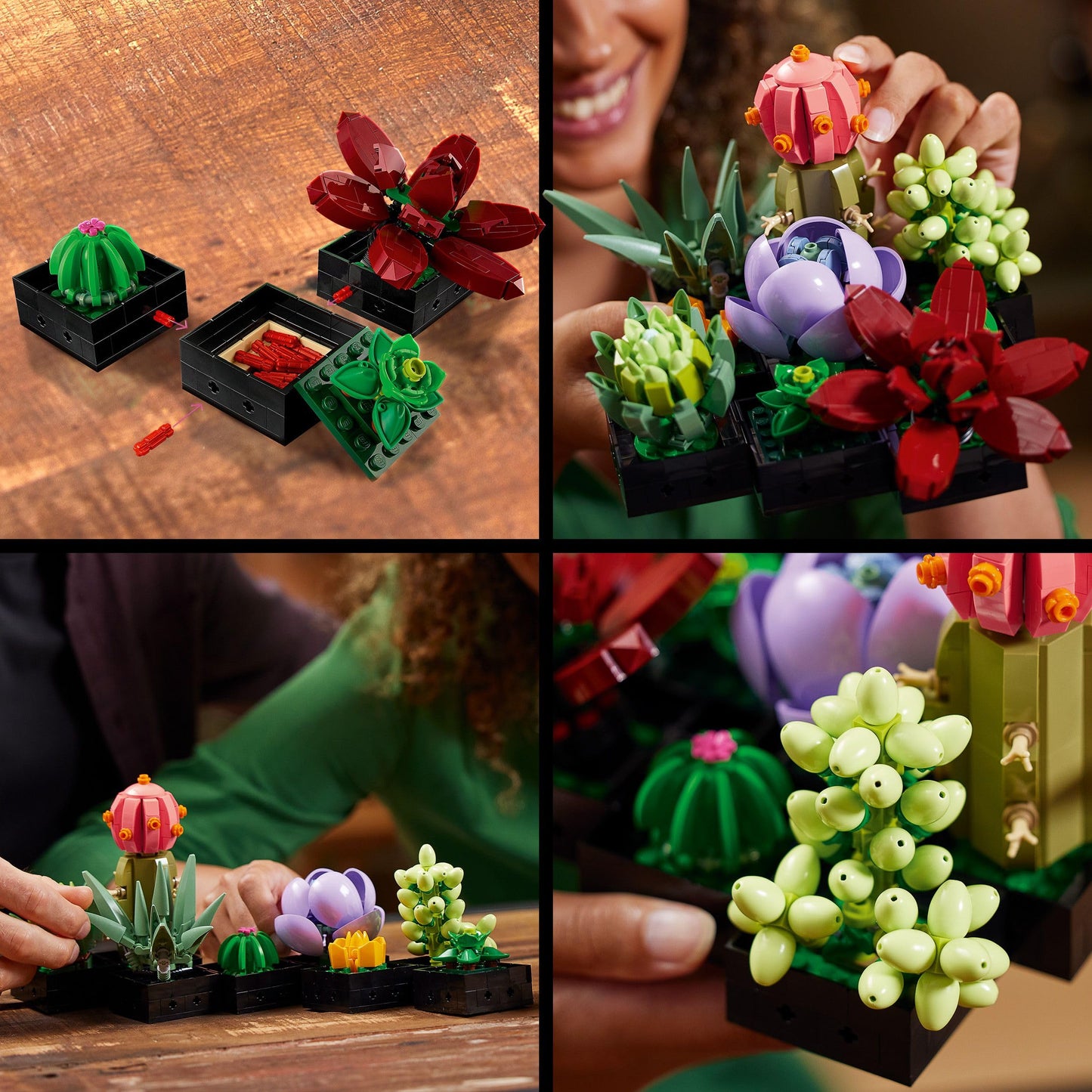 LEGO Botanicals Succulents - Artificial Flower Set for Adults - Bouquet Building Kit - Creative Hobby and Home Decor - Gift Idea for Women & Men - Botanic Collection (9 Plants) 10309