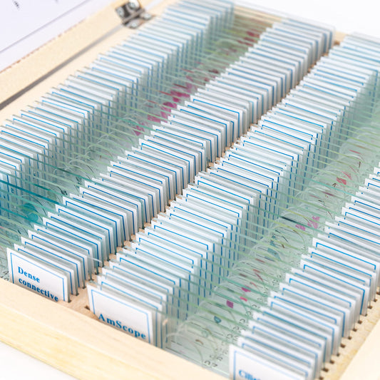 AmScope PS100A Prepared Slide Set for Biological Science Basic Education, 100 slides, Set A, including wooden case.