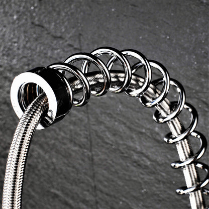 Professional kitchen sink mixer tap with shower spray, spiral spring, and extendable hose in gloss/chrome finish.