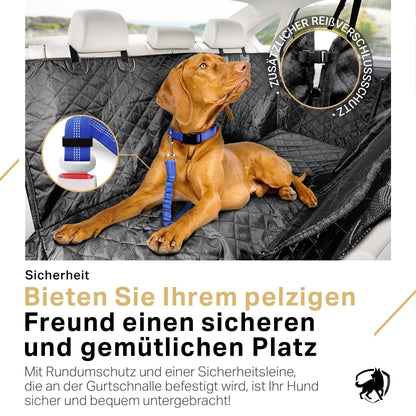 PETPROVED dog car seat cover back seat protector car blanket back seat protector car protection cover dog back seat (with accessories)