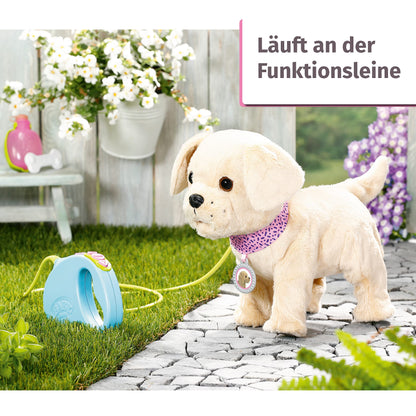 BABY born, dog, My Lucky Dog, BABY born dog with functions including collar, pendant, leash, bottle, and bone, 829417, Zapf Creation.