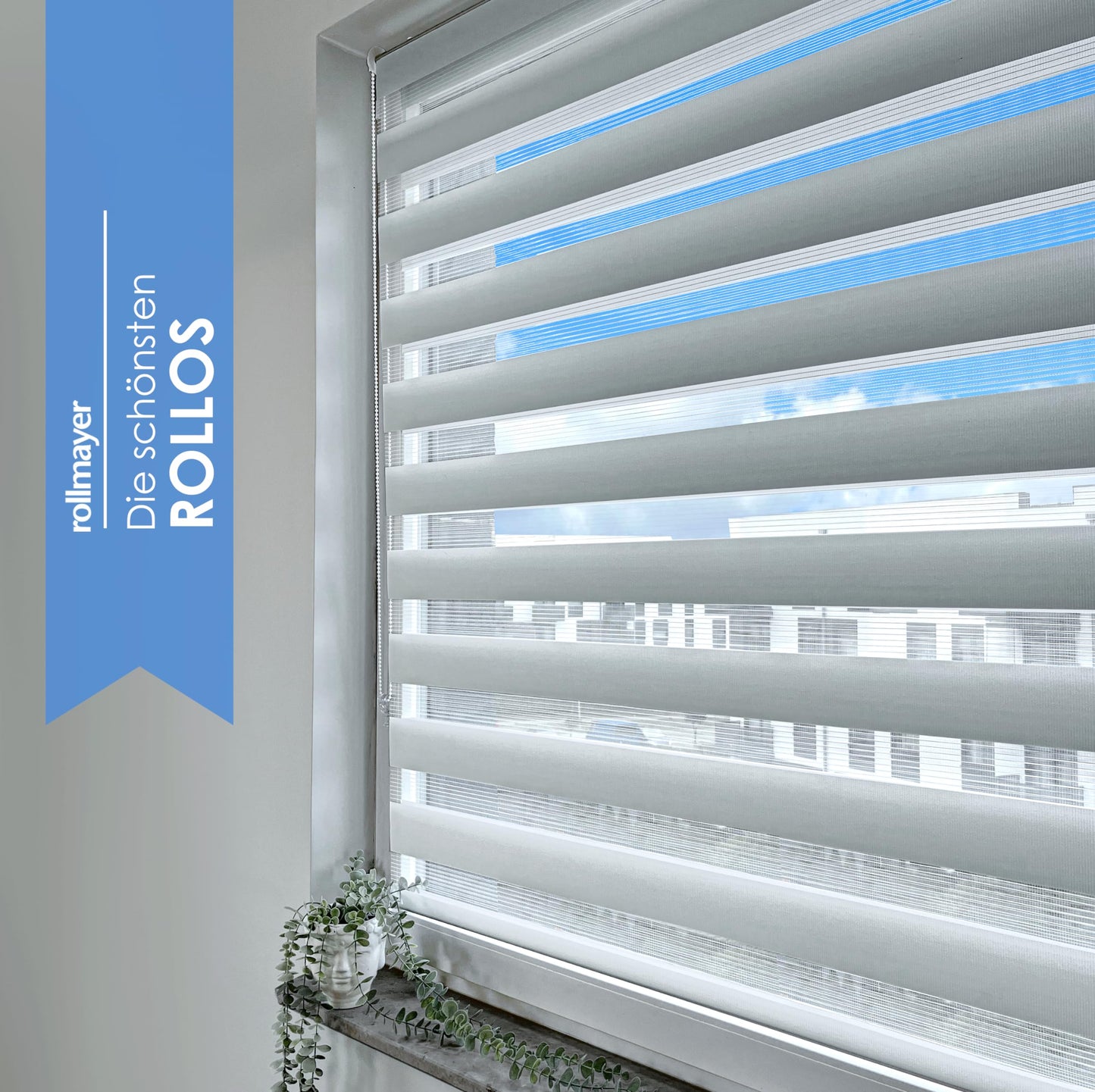 Rollmayer clamp-fix double roller blind without drilling, clamp roller window blind duo roller sun protection blind zebra blind side pull blind for window and door (White - 50 x 150 cm - WxH)