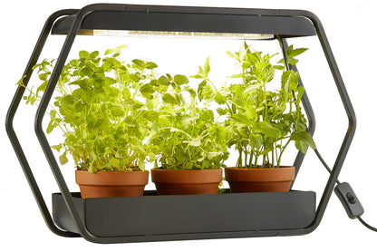 Northpoint Design LED plant lamp indoor garden grow light metal frame 14W 1000 lumens timer industrial look