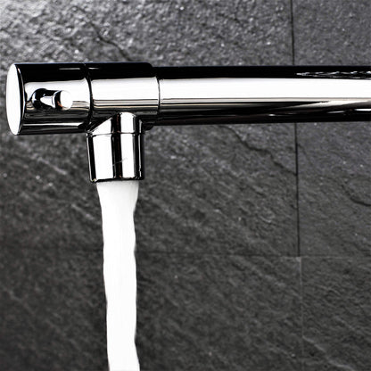 Professional kitchen sink mixer tap with shower spray, spiral spring, and extendable hose in gloss/chrome finish.