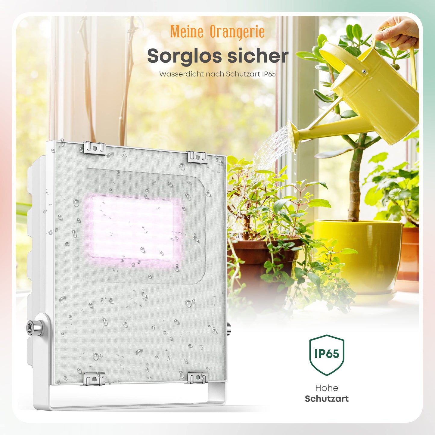 My Orangery - LED plant lamp for overwintering Mediterranean plants - Developed with citrus plant experts Full spectrum plant light (20)