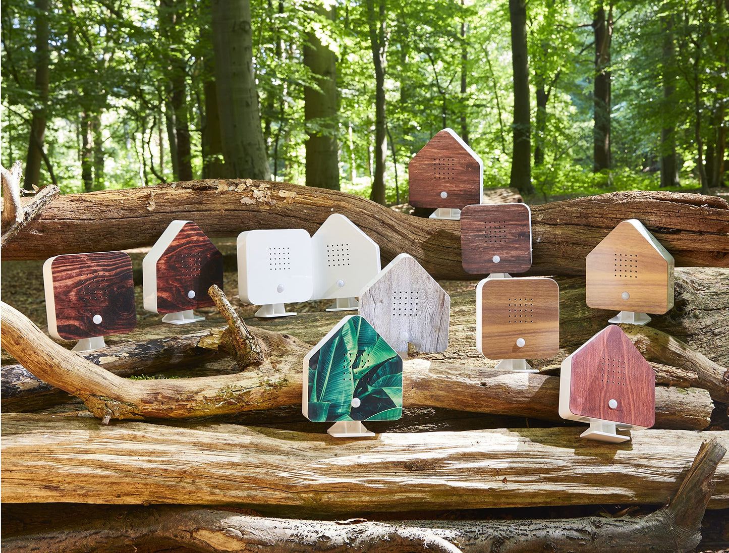 Northpoint Nature Soundbox, bird, song, bird chirp, box, motion sensor, bird sound, light, rechargeable with wall mount, beechwood house