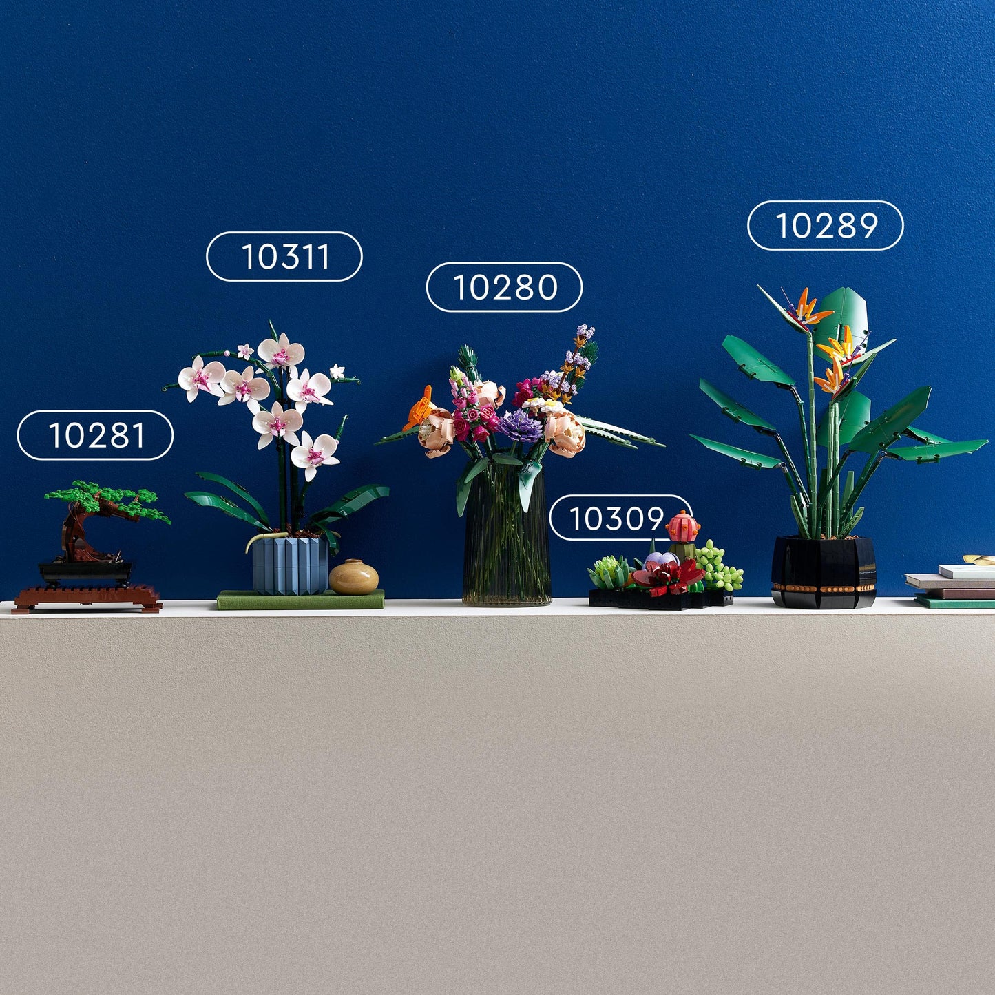 LEGO Botanicals Succulents - Artificial Flower Set for Adults - Bouquet Building Kit - Creative Hobby and Home Decor - Gift Idea for Women & Men - Botanic Collection (9 Plants) 10309