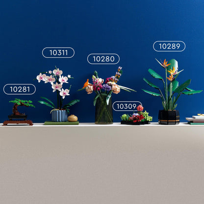 LEGO Botanicals Succulents - Artificial Flower Set for Adults - Bouquet Building Kit - Creative Hobby and Home Decor - Gift Idea for Women & Men - Botanic Collection (9 Plants) 10309