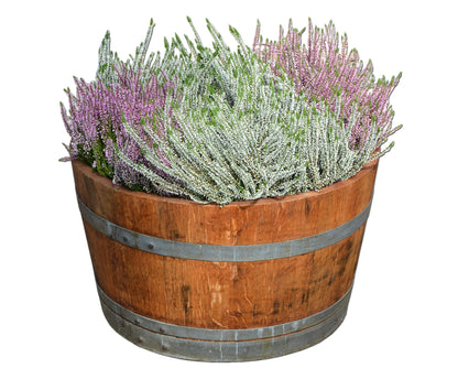 Wooden barrel used as a plant pot, wine barrel halved and oiled (D70 cm) (with handle loops and drainage holes)