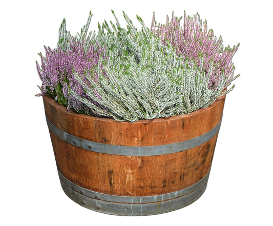 Wooden barrel used as a plant pot, wine barrel halved and oiled (D70 cm) (with handle loops and drainage holes)