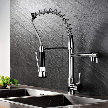 Professional kitchen sink mixer tap with shower spray, spiral spring, and extendable hose in gloss/chrome finish.