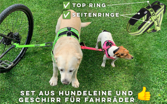 Dog leash and harness for bike, harness with side rings, including 2 bike straps. Patented. (Yellow, XS)