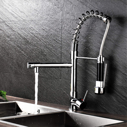 Professional kitchen sink mixer tap with shower spray, spiral spring, and extendable hose in gloss/chrome finish.